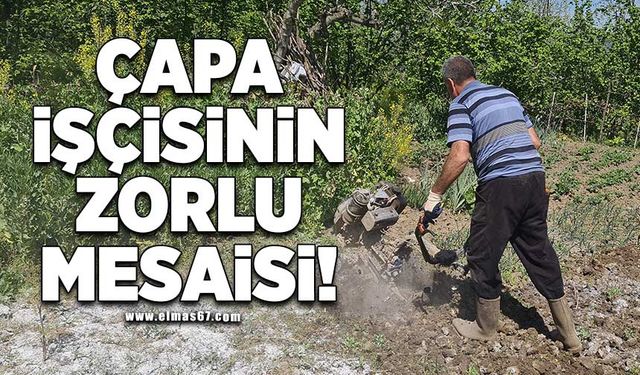 Çapa işçisinin zorlu mesaisi