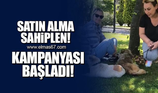 'Satın alma sahiplen' kampanyası başladı!