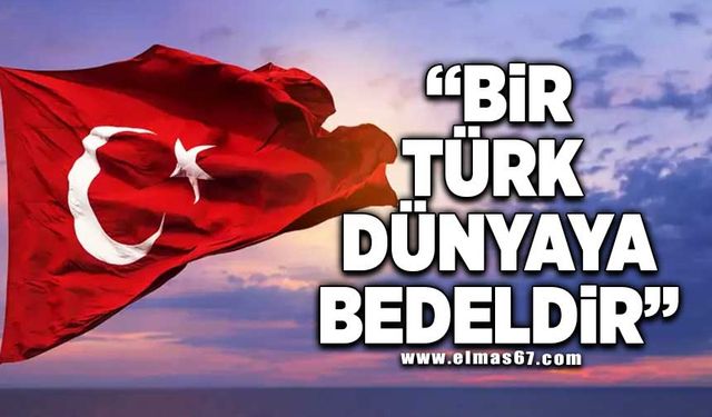 "Bir Türk dünyaya bedeldir"