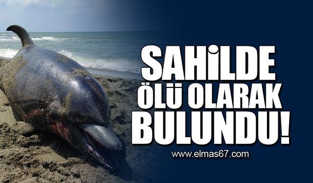 Sahilde ölü olarak bulundu!