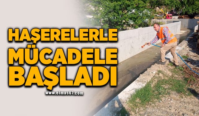 Haşerelerle mücadele başladı!