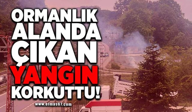 Ormanlık alanda çıkan yangın korkuttu