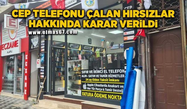 Cep telefonu çalan hırsızlar tutuklandı