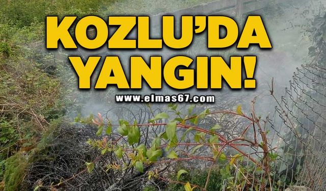 Kozlu'da yangın!