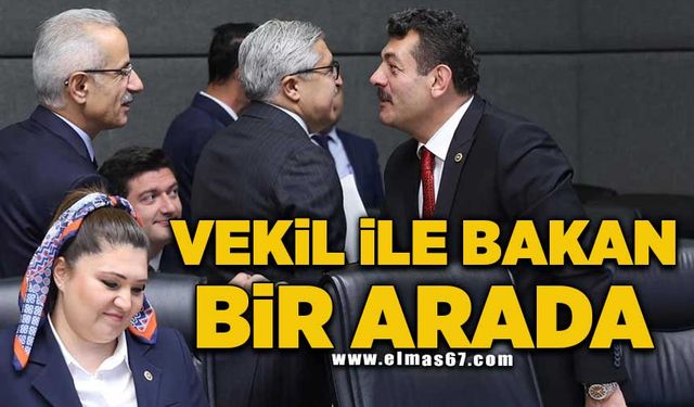 Vekil ile Bakan bir arada