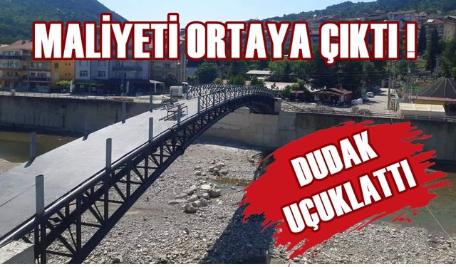 Köprünün maliyeti ortaya çıktı: Dudak uçuklattı!