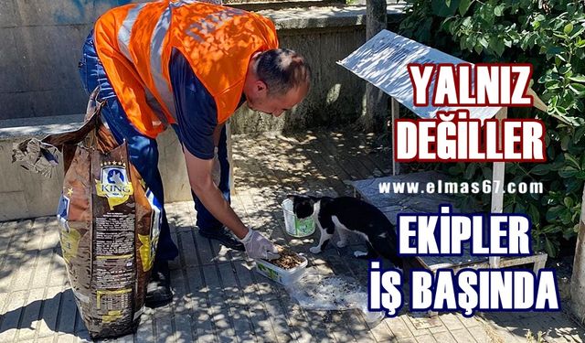 Sokakta yalnız değiller: Ekipler iş başında