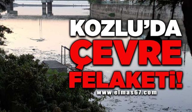 Kozlu’da çevre felaketi!