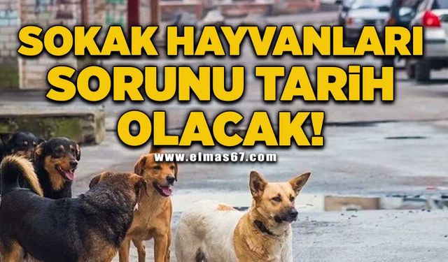 Sokak hayvanları sorunu tarih olacak