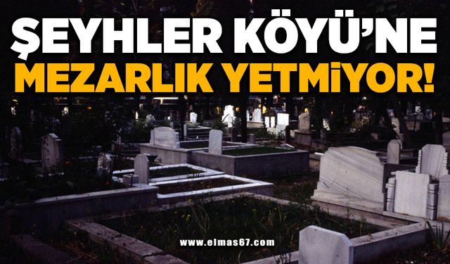 Şeyhler Köyü'ne mezarlık yetmiyor!