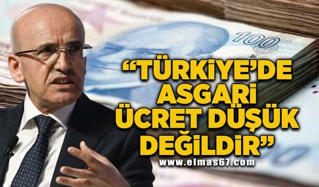 "Türkiye'de asgari ücret düşük değildir"