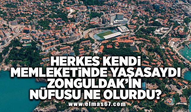 Herkes kendi memleketinde yaşasaydı Zonguldak'ın nüfusu ne olurdu?