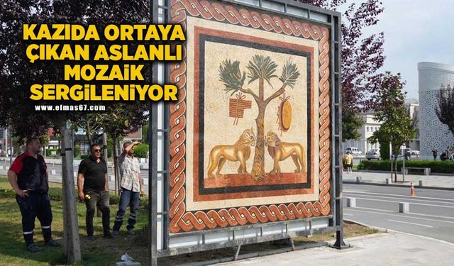 Kazılarda ortaya çıkan Aslanlı mozaik sergileniyor