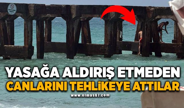 Yasağa aldırış etmeden canlarını tehlikeye attılar