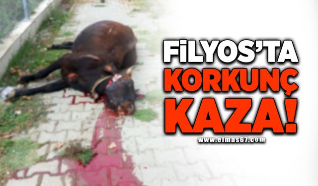 Filyos'ta korkunç kaza!