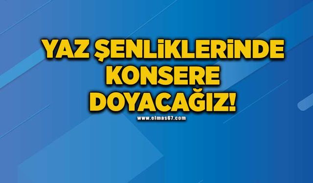 Yaz şenliklerinde konsere doyacağız!