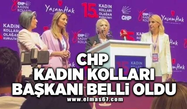 CHP Kadın kolları başkanı belli oldu!