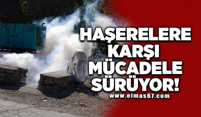 Haşerelere karşı mücadele sürüyor!