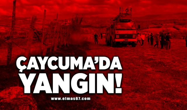 Çaycuma’da yangın