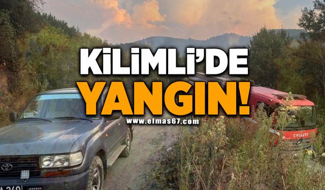 Kilimli'de yangın!