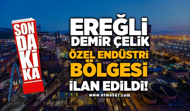 Ereğli Demir ve Çelik Fabrikaları Özel Endüstri bölgesi ilan edildi!