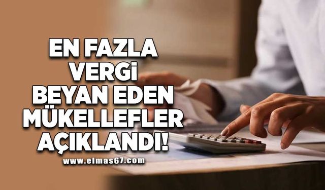 Zonguldak'ta en fazla vergi beyan eden mükellefler açıklandı!