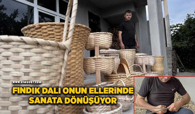 Fındık dalı onun ellerinde sanata dönüşüyor