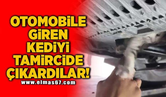 Otomobile giren kediyi tamircide çıkardılar