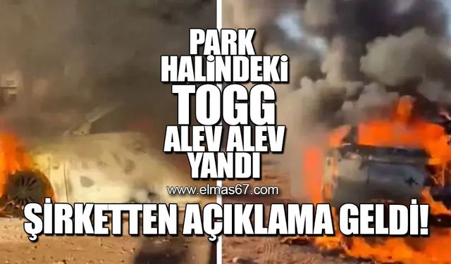 Park halindeki TOGG alev alev yandı!