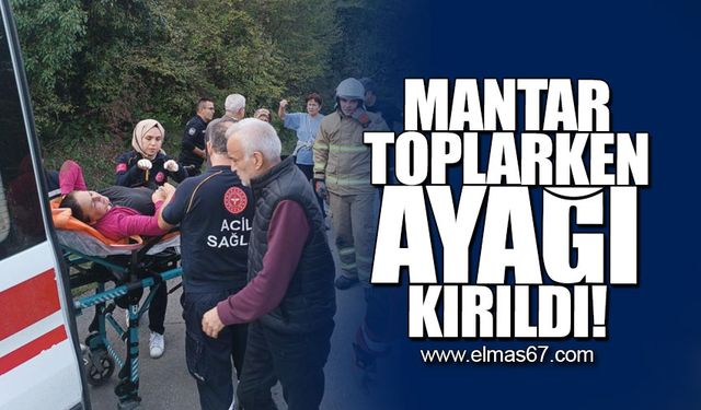 Mantar toplarken ayağı kırıldı!