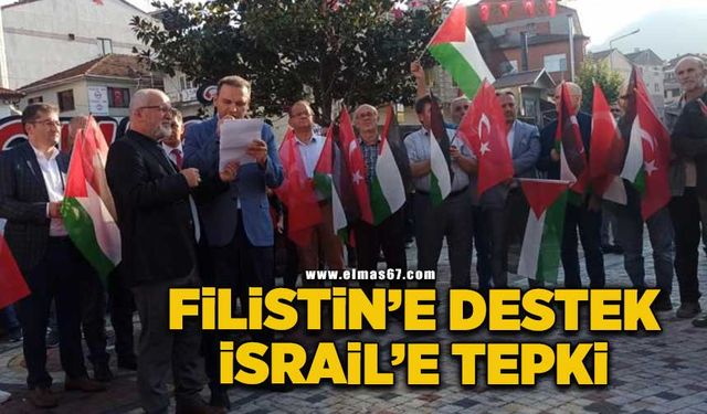 Filistin'e destek, İsrail'e tepki