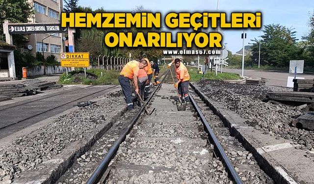 TCDD, Çatalağzı'nda hemzemin geçitleri onarıyor