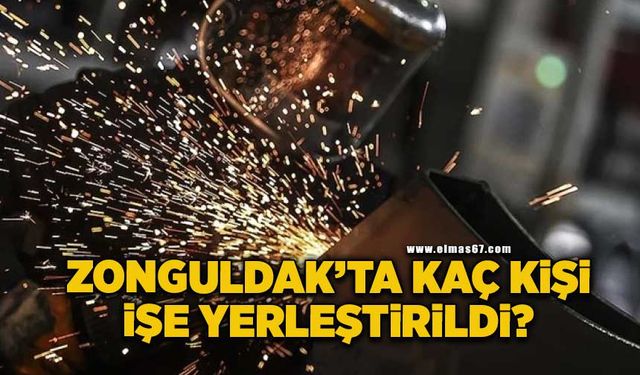 Zonguldak’ta kaç kişi işe yerleştirildi?