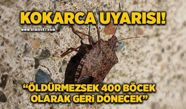 Kokarca uyarısı: "Öldürmezsek 400 böcek olarak geri dönecek"