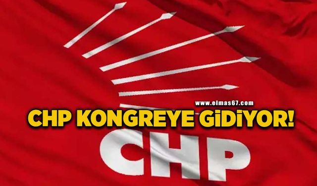 CHP gençliği yeni başkanını seçecek