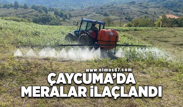 Çaycuma'da meralar ilaçlandı