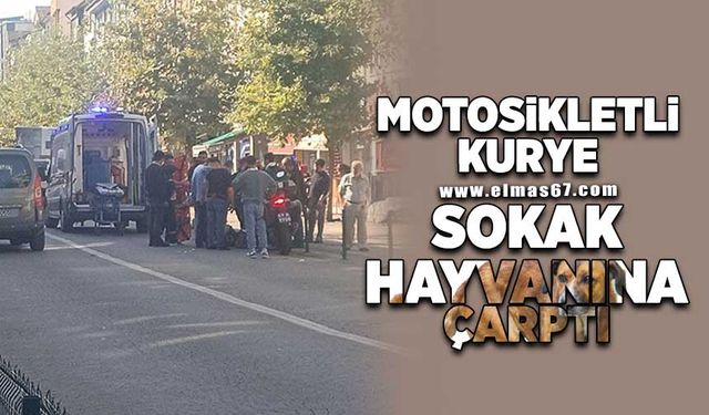 Motosikletli kurye sokak köpeğine çarptı