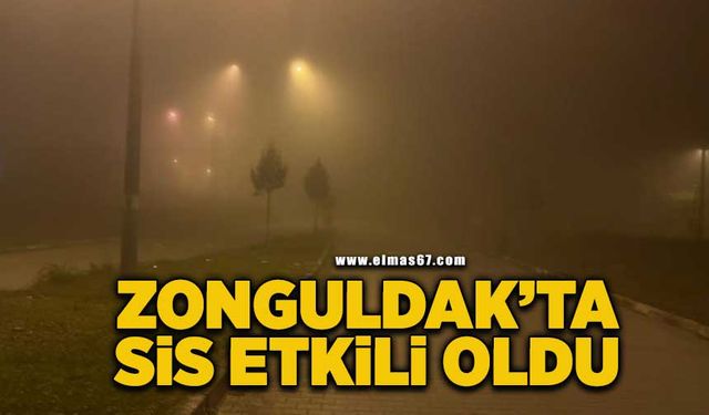 Zonguldak'ta sis etkili oldu