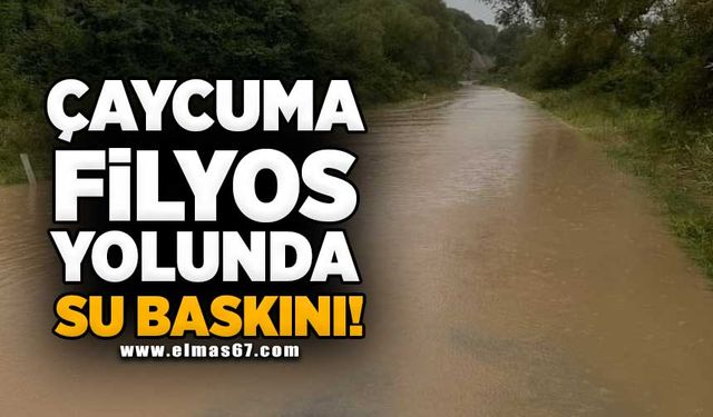 Çaycuma-Filyos yolunda su baskınları