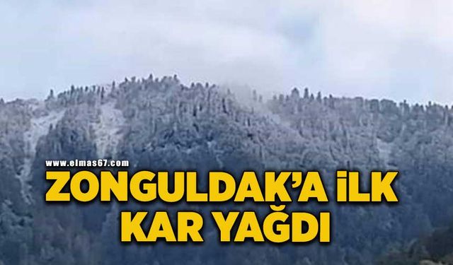 Zonguldak'a mevsimin ilk karı yağdı