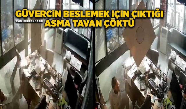 Güvercin beslemek için çıktığı asma tavan çöktü