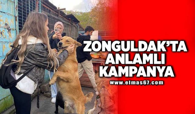 “MAMANIZI KAPIN, HAYVANLARA UMUT OLUN”