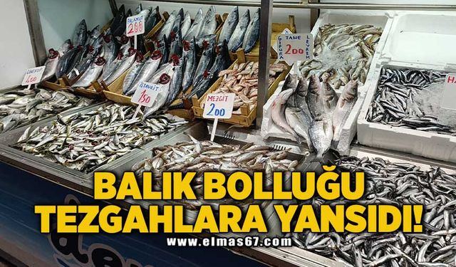 Balık bolluğu tezgahlara yansıdı!