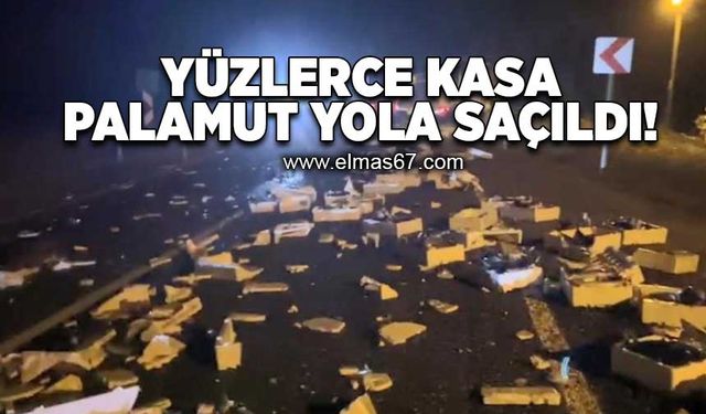 Yüzlerce kasa palamut yola saçıldı!