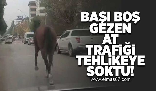 Başı boş gezen at trafiği  tehlikeye soktu!