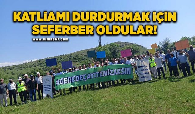 Katliamı durdurmak için seferber oldular!