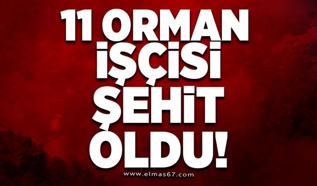 11 ORMAN İŞÇİSİ ŞEHİT OLDU