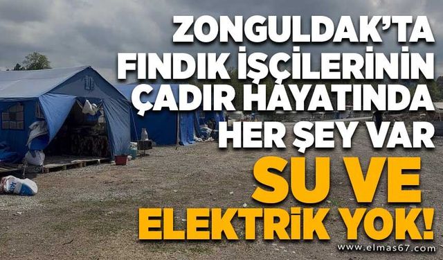 Fındık işçilerinin çadır hayatında her şey var, su ve elektrik yok