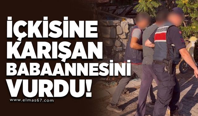 İçkisine karışan babaannesini başına tüple vurarak öldürdü
