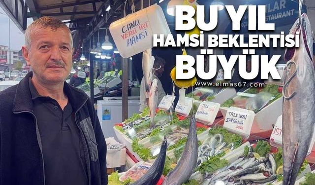 Karadeniz'de bu yıl hamsi beklentisi büyük